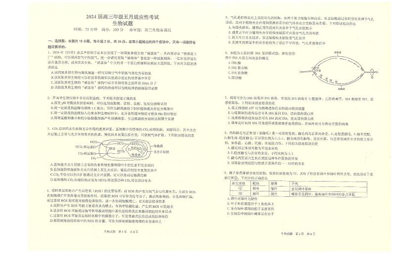 2024届甘肃省张掖市某校高三下学期5月适应性考试生物试卷01