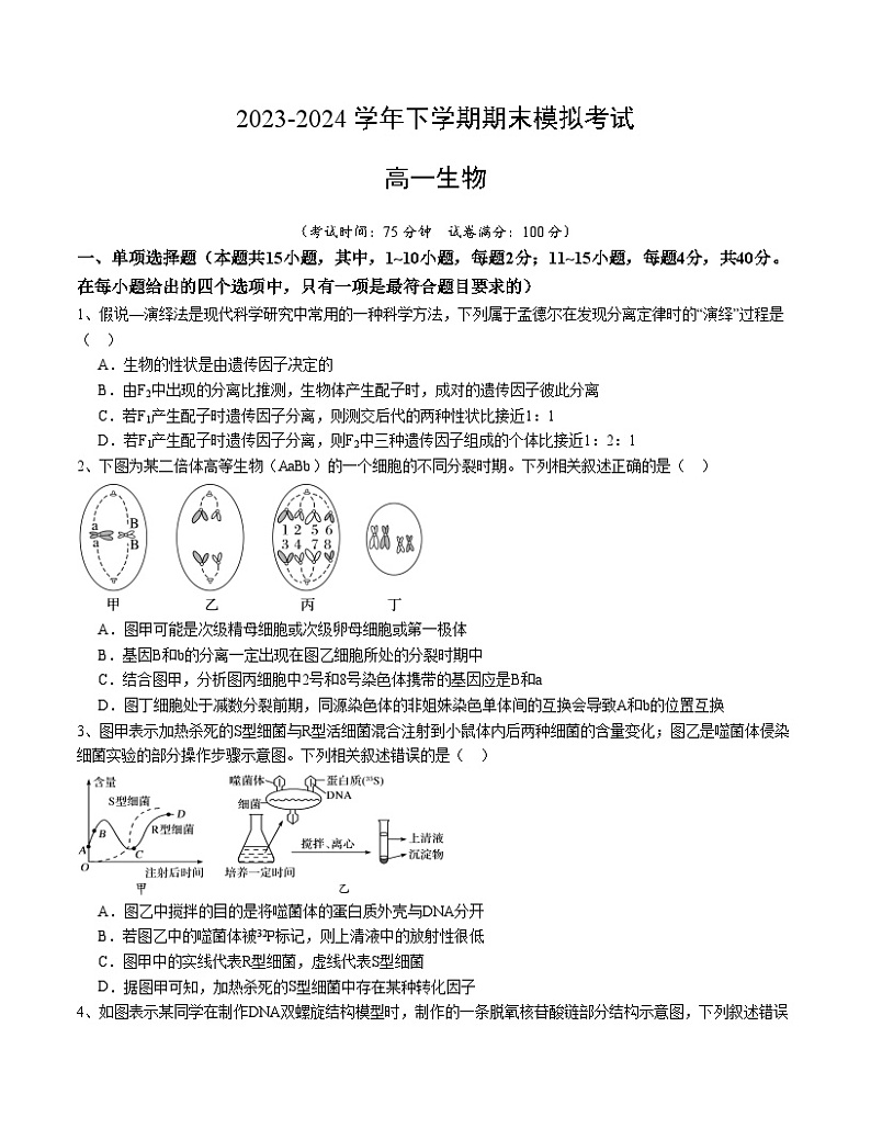 卷02- 2023-2024学年高一生物下学期期末通关卷(福建专用)(原卷版)第1页