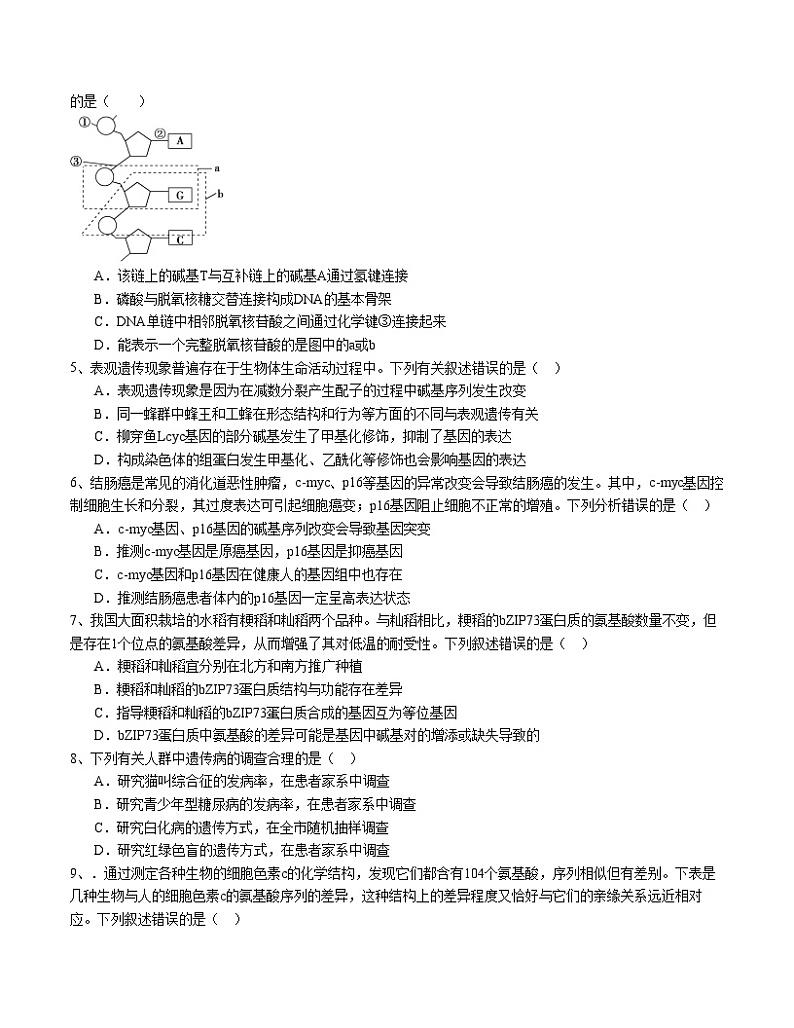 卷02- 2023-2024学年高一生物下学期期末通关卷(福建专用)(原卷版)第2页