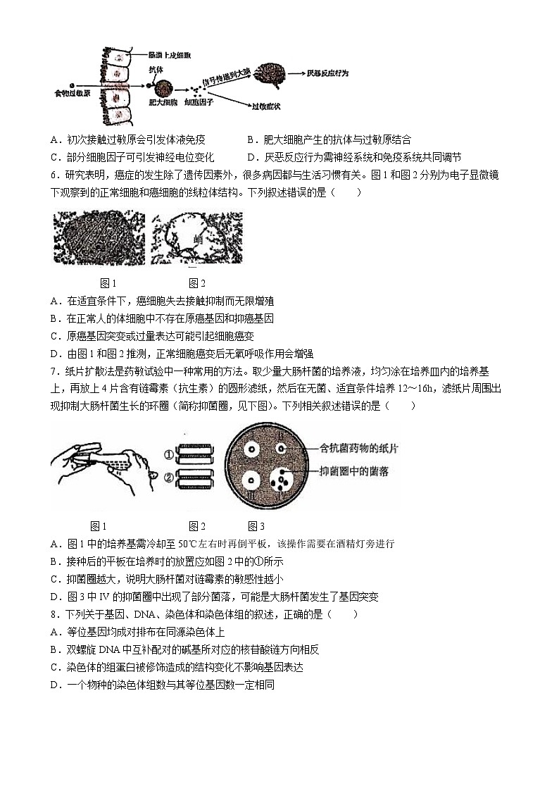 福建省泉州第五中学2024届高三下学期二模生物试题(Word版附答案)02