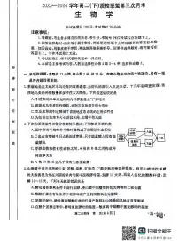 河北省邢台市名校联盟2023-2024学年高二下学期6月月考生物试题（PDF版附答案）