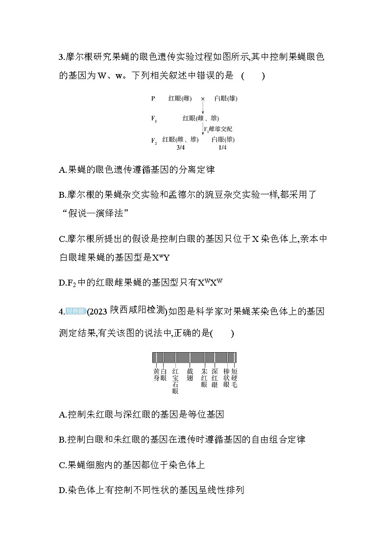 人教版高中生物必修2第2章基因和染色体的关系第2节基因在染色体上基础练含答案02