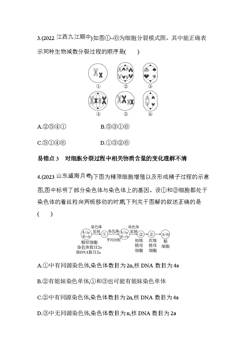 人教版高中生物必修2第2章基因和染色体的关系复习提升练含答案02