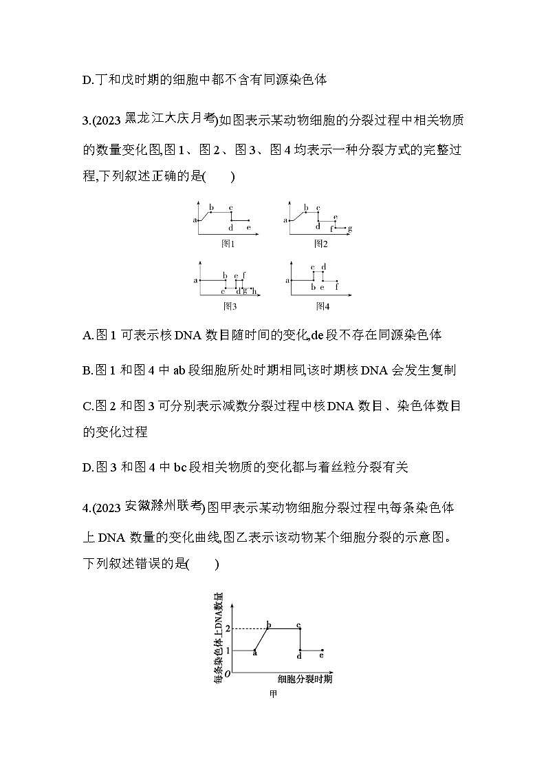 人教版高中生物必修2第2章基因和染色体的关系专题强化练2有丝分裂和减数分裂的综合分析含答案02