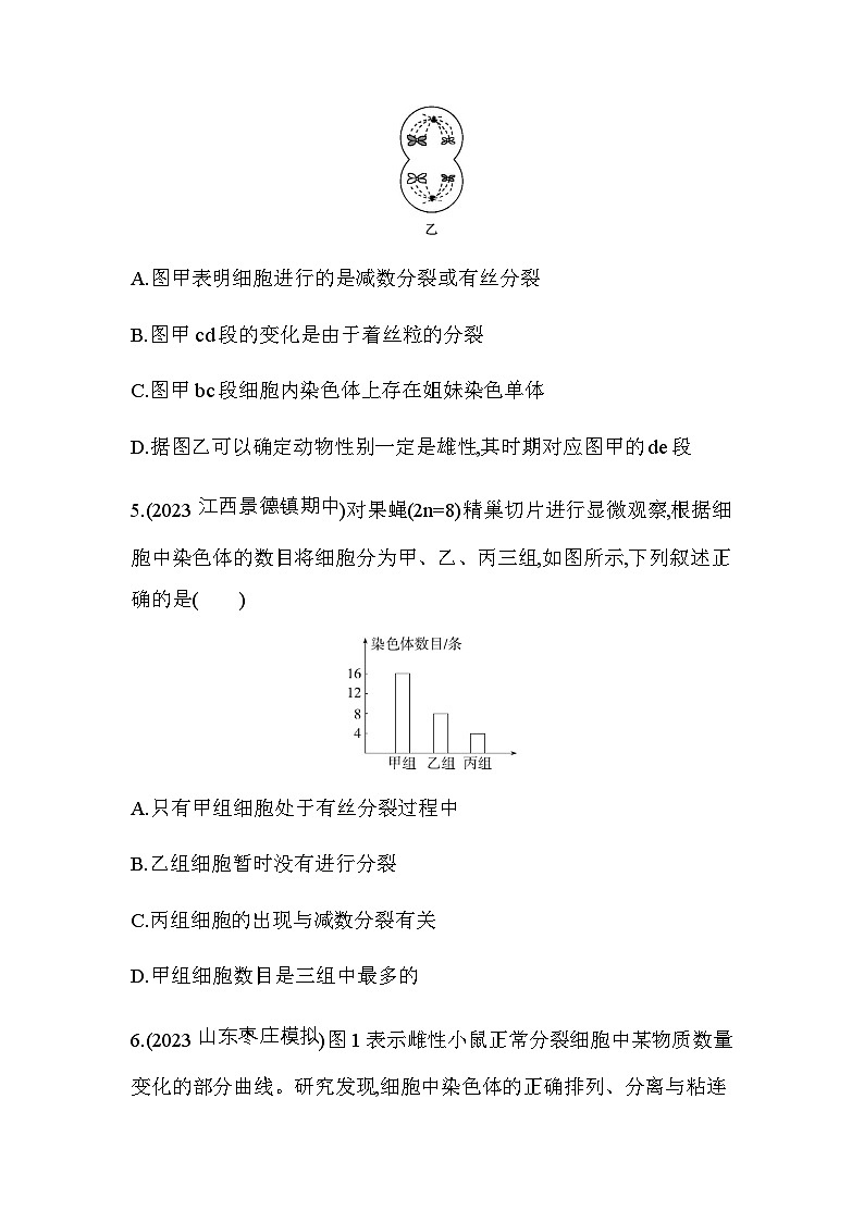 人教版高中生物必修2第2章基因和染色体的关系专题强化练2有丝分裂和减数分裂的综合分析含答案03