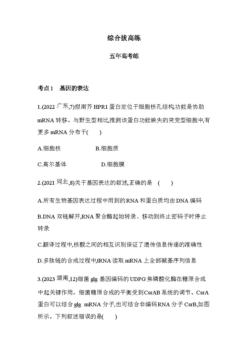 人教版高中生物必修2第4章基因的表达综合拔高练含答案01