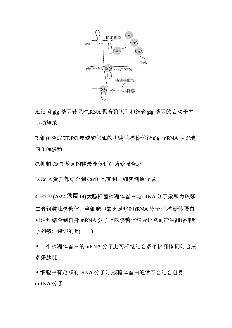 人教版高中生物必修2第4章基因的表达综合拔高练含答案02