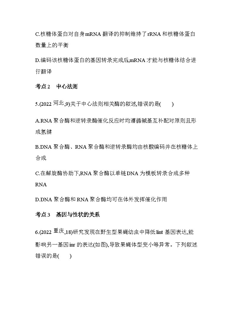 人教版高中生物必修2第4章基因的表达综合拔高练含答案03