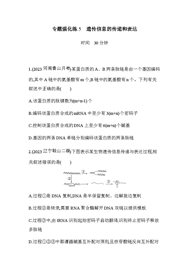 人教版高中生物必修2第4章基因的表达专题强化练5遗传信息的传递和表达含答案第1页