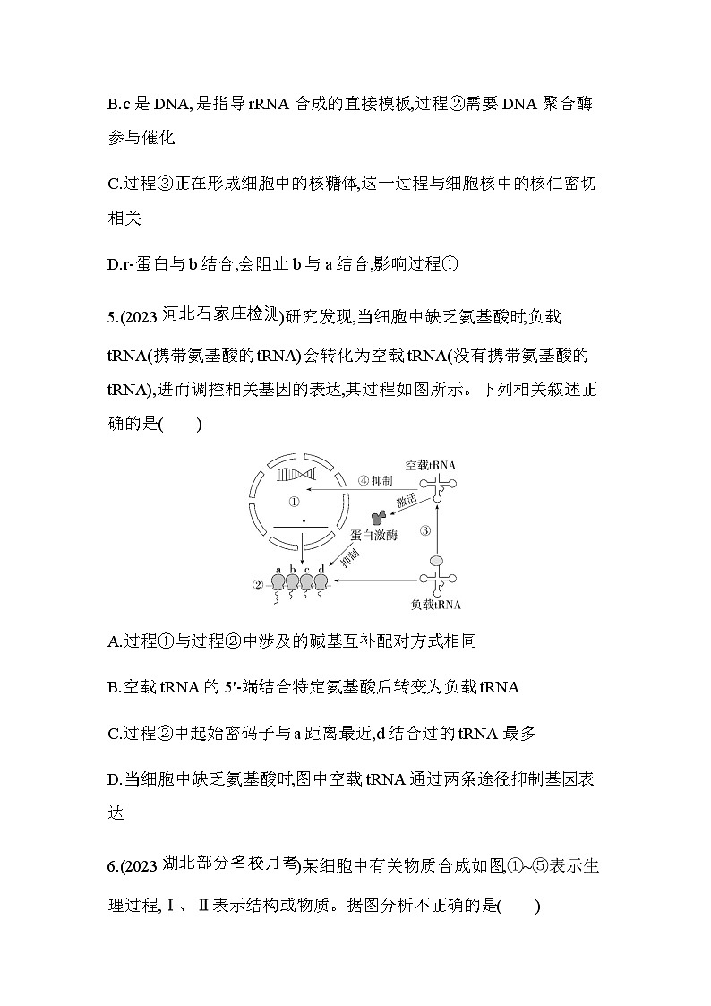 人教版高中生物必修2第4章基因的表达专题强化练5遗传信息的传递和表达含答案第3页
