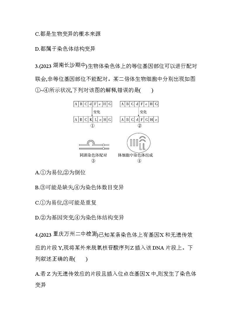 人教版高中生物必修2第5章基因突变及其他变异专题强化练6生物变异类型与育种含答案02