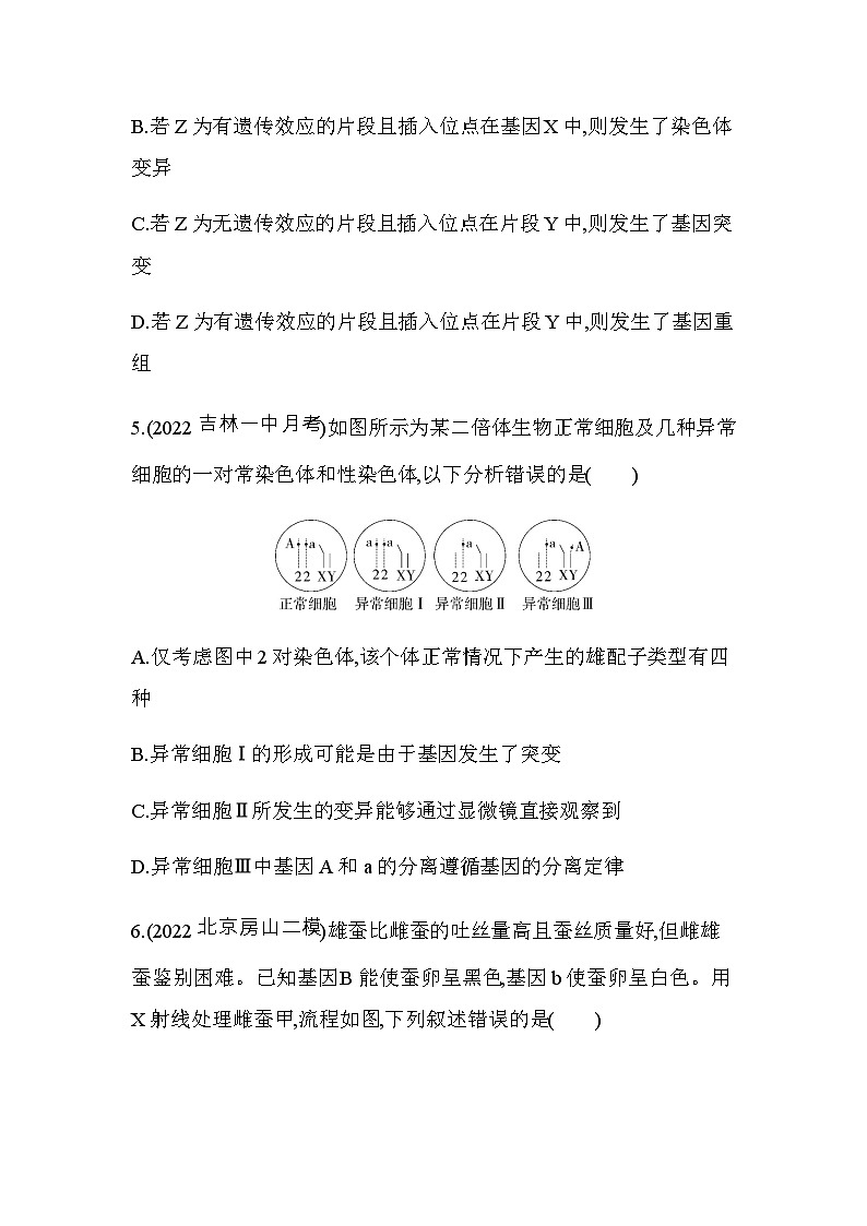 人教版高中生物必修2第5章基因突变及其他变异专题强化练6生物变异类型与育种含答案03
