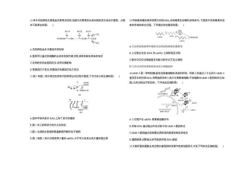人教版高中生物必修2第4章基因的表达检测含答案03