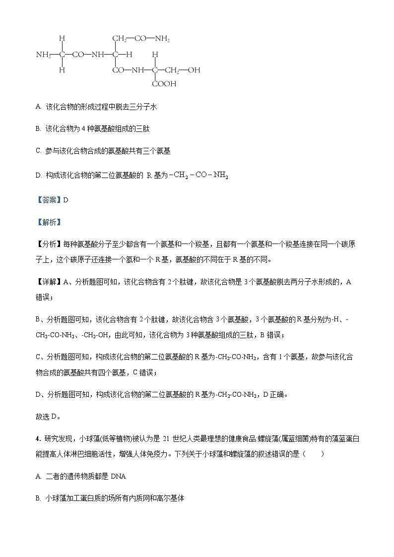 山西省康杰中学2022-2023学年高一上学期期末考试生物试题含答案第3页