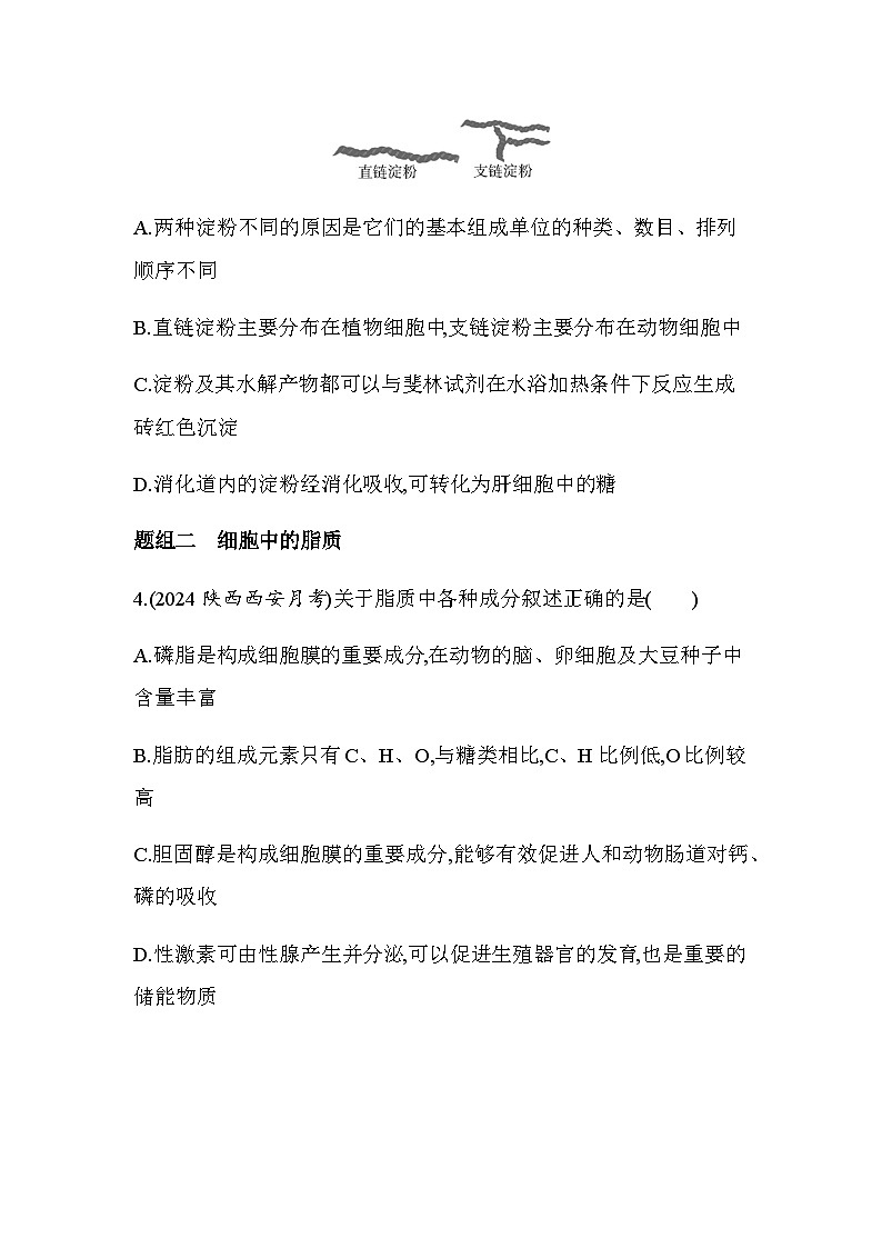 人教版高中生物必修1第2章组成细胞的分子第3节细胞中的糖类和脂质基础练含答案02