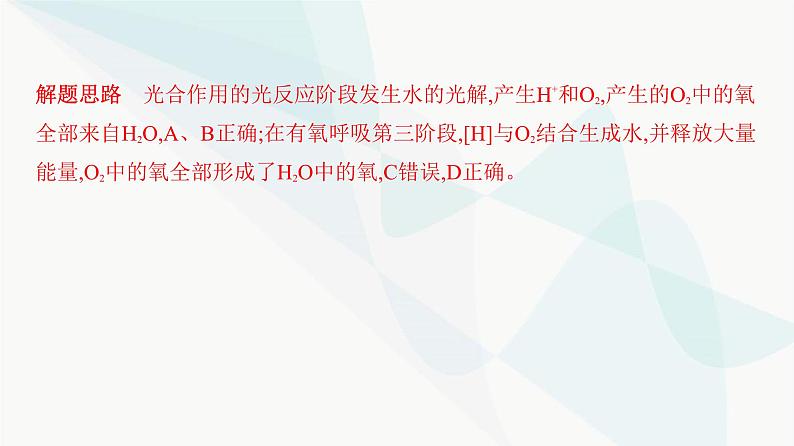 人教版高中生物必修1重点专题卷6光合作用与细胞呼吸的综合探究课件第3页