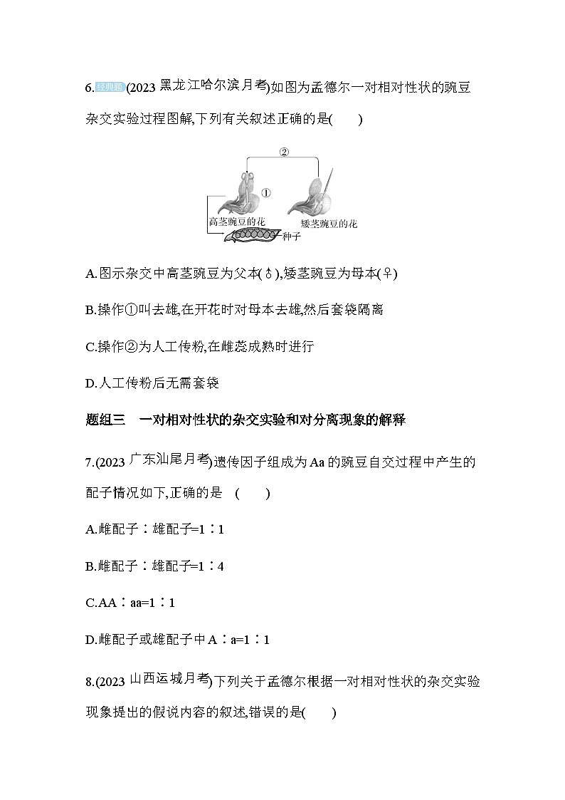 人教版高中生物必修2第1節(jié)孟德爾的豌豆雜交實驗(一)基礎(chǔ)練含答案第3頁