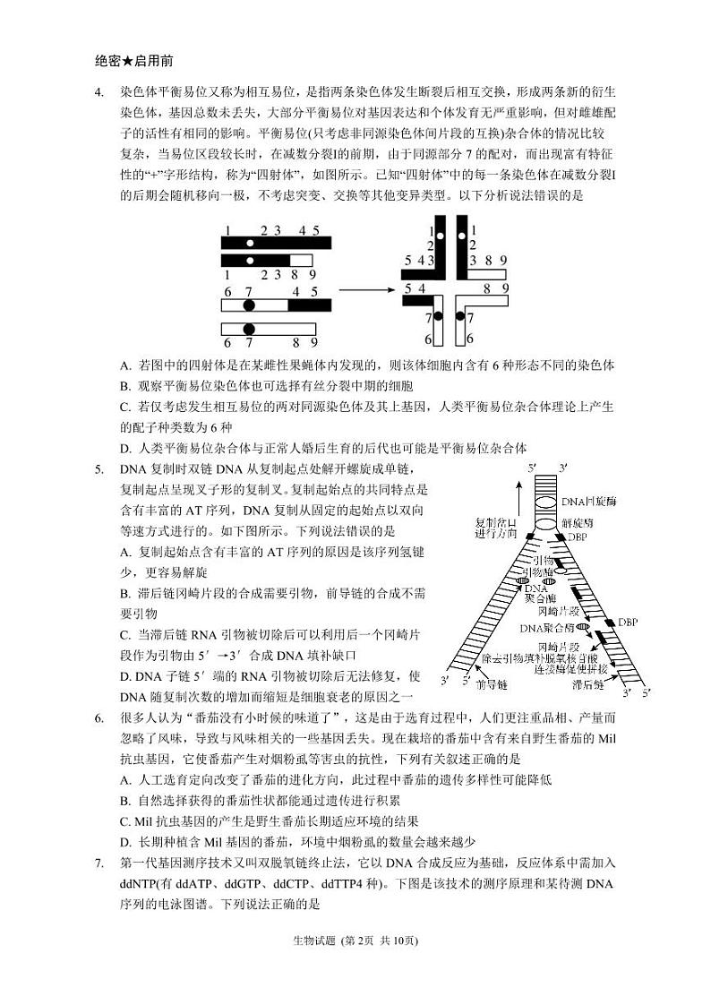 2024届山东新高考生物模拟试题第2页