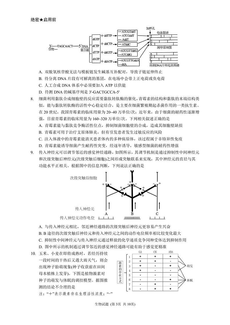 2024届山东新高考生物模拟试题第3页
