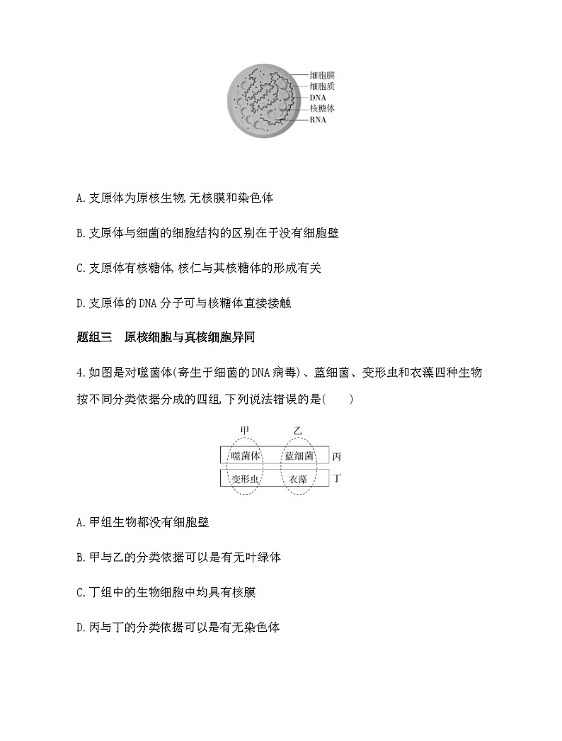 浙科版高中生物必修1第二章细胞的结构第六节原核细胞内无成形的细胞核练习含答案02
