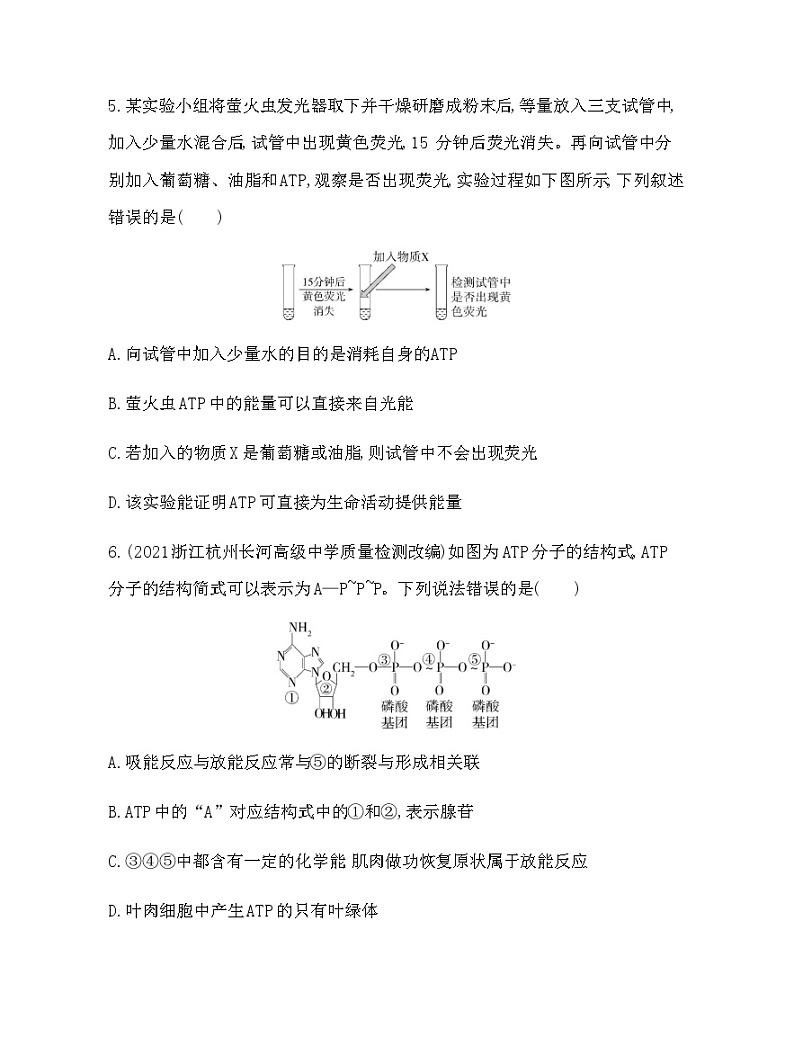 浙科版高中生物必修1第三章细胞的代谢第一节ATP是细胞内的“能量通货”练习含答案03