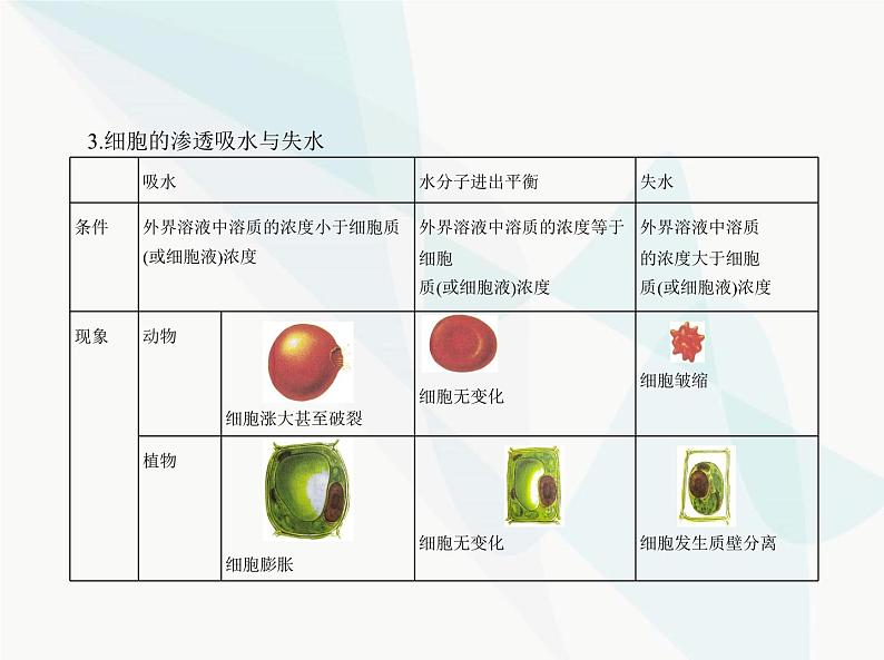 浙科版高中生物必修1第三章细胞的代谢第三节物质通过多种方式出入细胞课件第5页