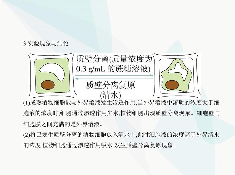 浙科版高中生物必修1第三章细胞的代谢第三节物质通过多种方式出入细胞课件第8页
