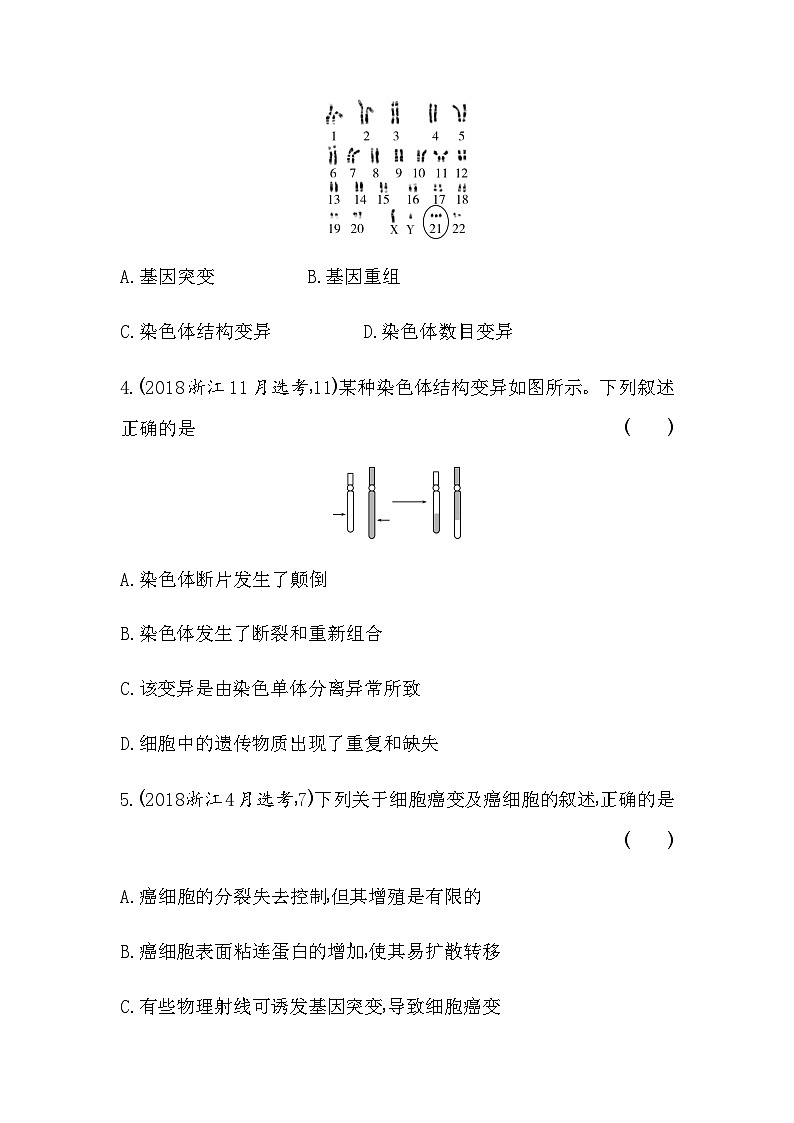 浙科版高中生物必修2第四章生物的变异综合拔高练含答案第2页