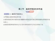 浙科版高中生物必修2第二章染色体与遗传第二节基因伴随染色体传递课件