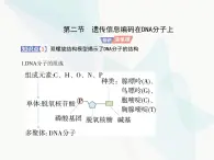 浙科版高中生物必修2第三章遗传的分子基础第二节遗传信息编码在DNA分子上课件