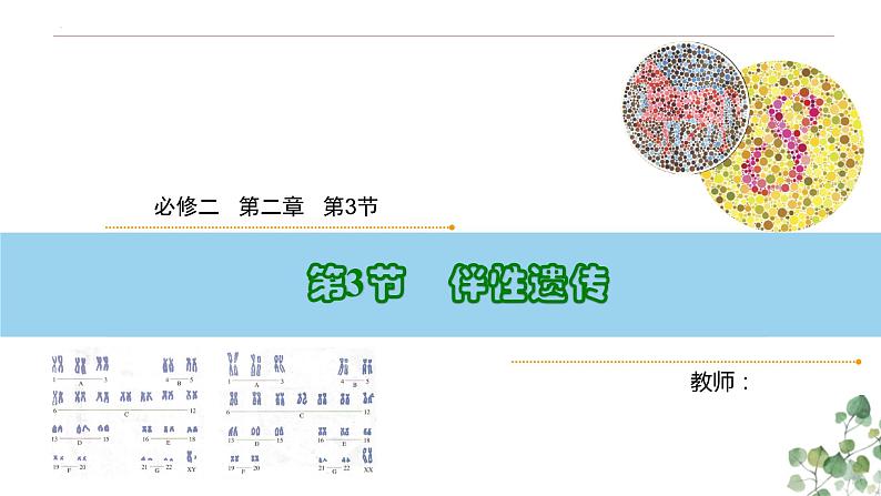 2.3 伴性遗传-高一生物下学期教学课件(人教版2019必修二)01