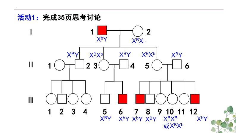 2.3 伴性遗传-高一生物下学期教学课件(人教版2019必修二)07