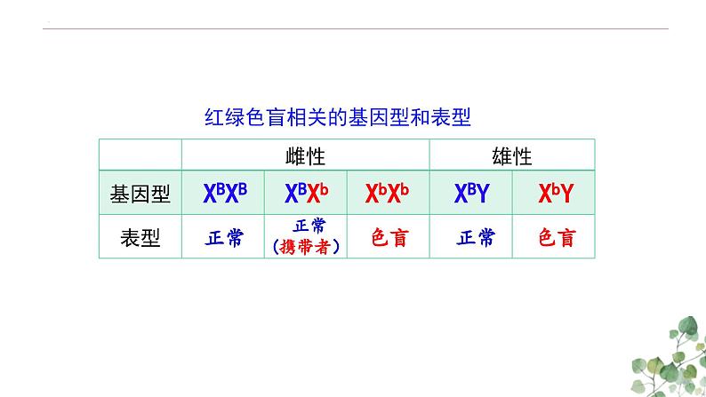 2.3 伴性遗传-高一生物下学期教学课件(人教版2019必修二)08