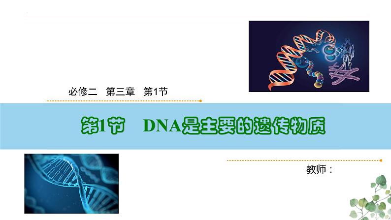 3.1 DNA是主要的遗传物质-高一生物下学期教学课件(人教版2019必修二)第1页