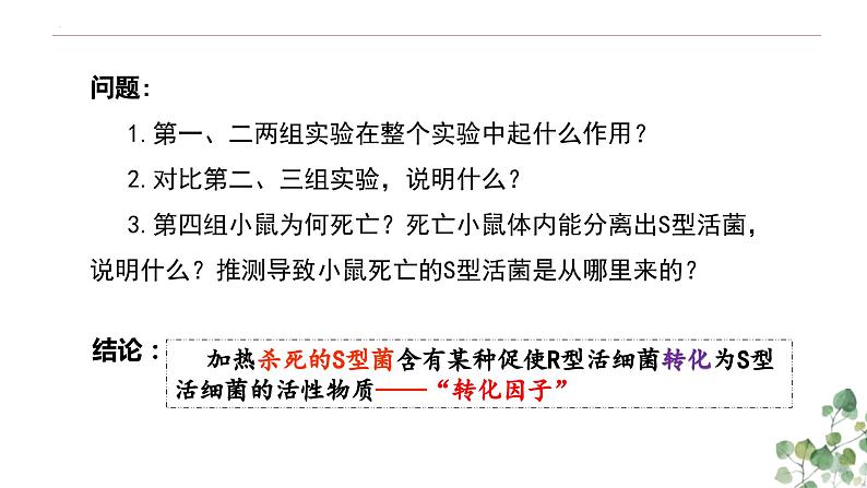 3.1 DNA是主要的遗传物质-高一生物下学期教学课件(人教版2019必修二)第7页