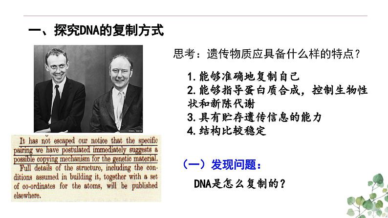 3.3 DNA的复制-高一生物下学期教学课件(人教版2019必修二)第2页