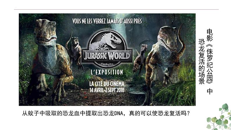 4.1 基因指导蛋白质的合成-高一生物下学期教学课件(人教版2019必修二)第2页