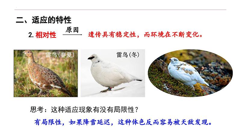 6.2 自然选择与适应的形成-高一生物下学期教学课件(人教版2019必修二)05
