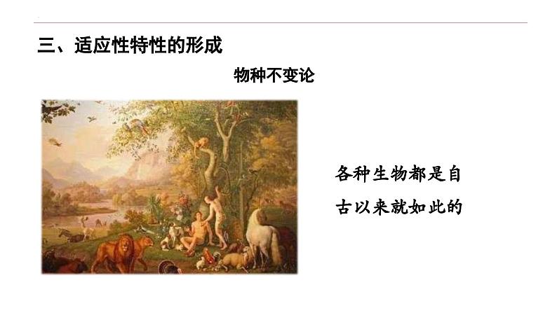 6.2 自然选择与适应的形成-高一生物下学期教学课件(人教版2019必修二)06