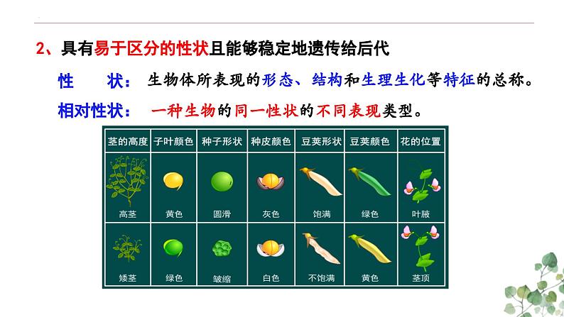 1.1 孟德尔的豌豆杂交实验(一)-高一生物下学期教学课件(人教版2019必修二)第8页