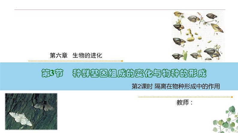 6.3.2 隔离在物种形成中的作用-高一生物下学期教学课件(人教版2019必修二)第1页