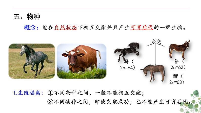 6.3.2 隔离在物种形成中的作用-高一生物下学期教学课件(人教版2019必修二)第2页