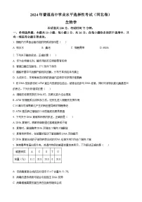 2024年高考真题——生物（河北卷）试题（Word版附答案）