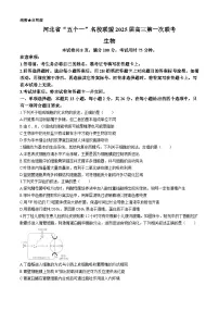 河北省“五个一”名校联盟2025届高三上学期第一次联考生物试题(Word版附解析)