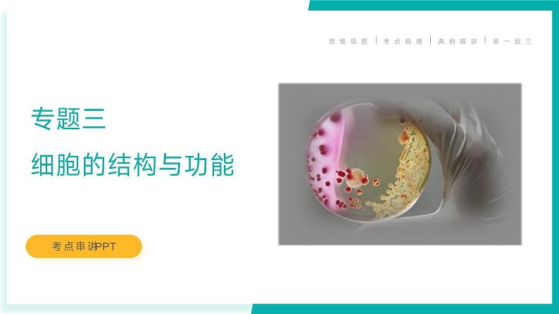 专题三 细胞的结构与功能(期末考点串讲)-2023-2024学年高二生物下学期期末考点大串讲(人教版2019)课件PPT第1页