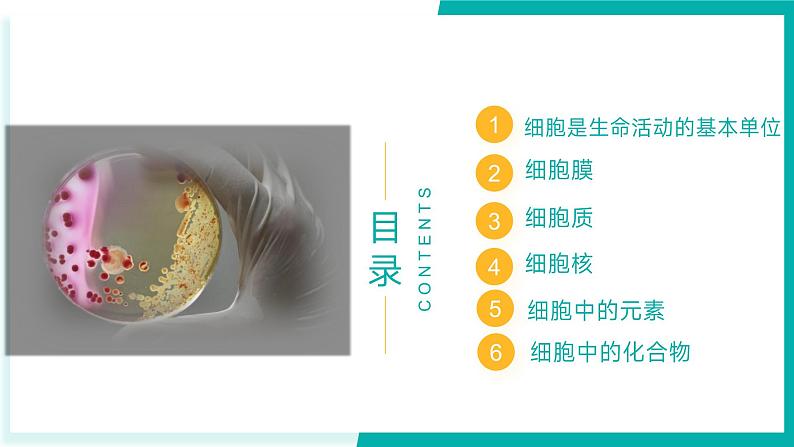 专题三 细胞的结构与功能(期末考点串讲)-2023-2024学年高二生物下学期期末考点大串讲(人教版2019)课件PPT第2页