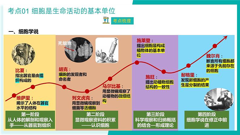 专题三 细胞的结构与功能(期末考点串讲)-2023-2024学年高二生物下学期期末考点大串讲(人教版2019)课件PPT第5页