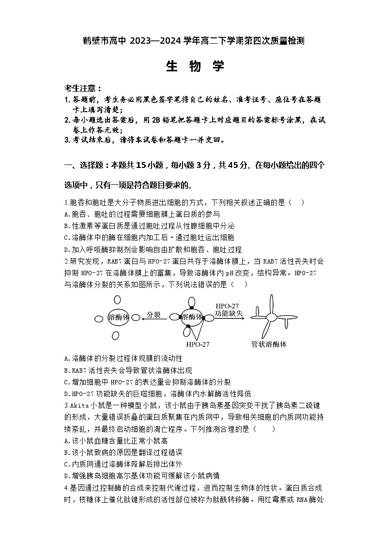 河南省鹤壁市淇滨区鹤壁市高中2023-2024学年高二下学期6月月考生物试题01
