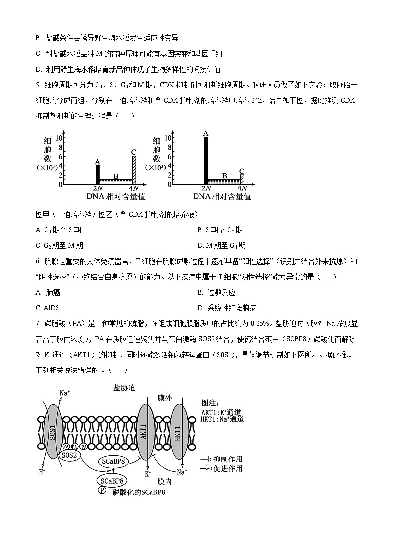 浙江省绍兴市上虞区2024届高三下学期5月高考及选考适应性考试生物试题(Word版附解析)02