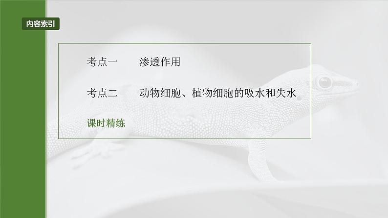 第二单元 第9课时 水进出细胞的原理第3页